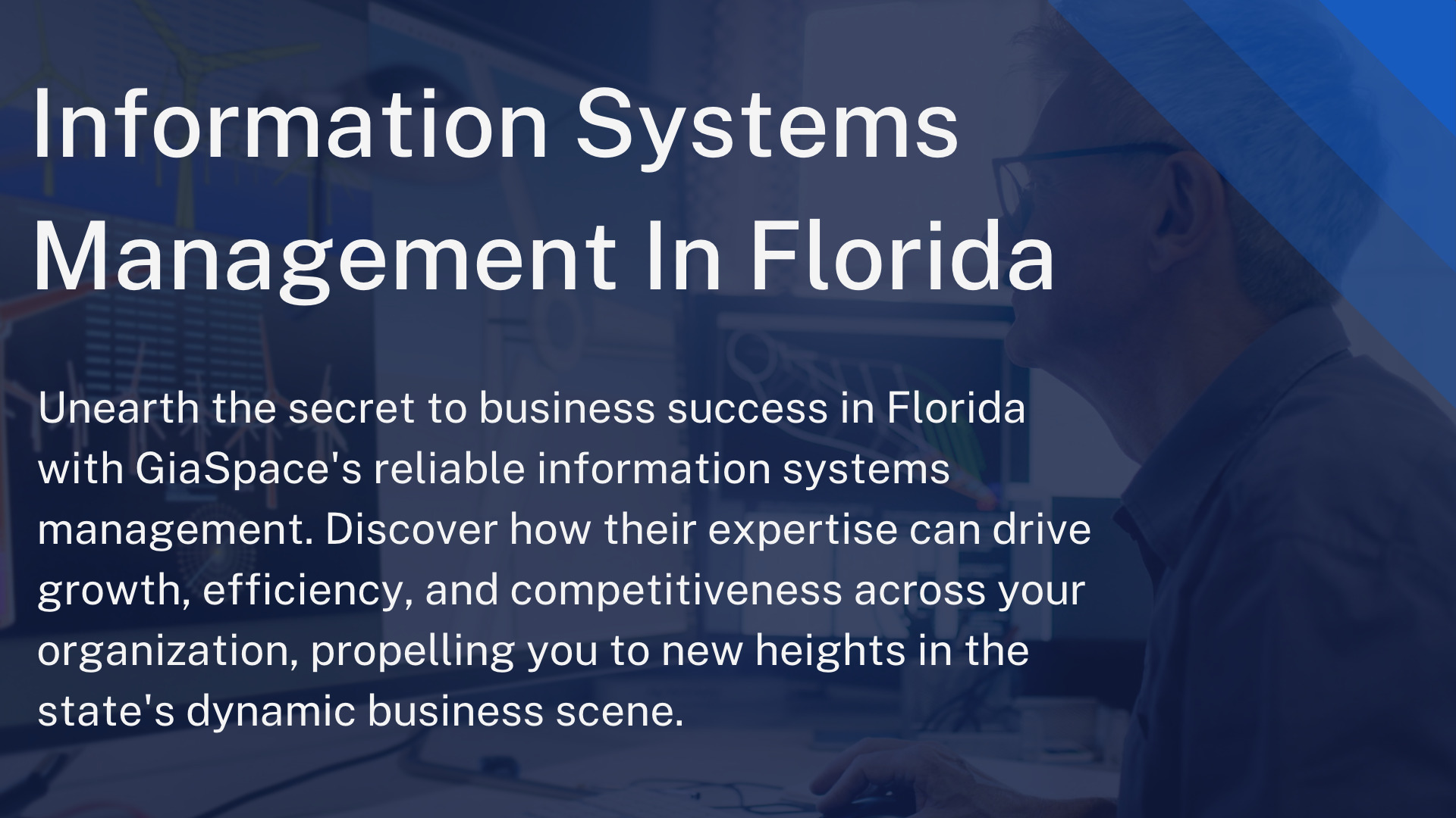 How Florida Businesses Thrive With The Right Information Systems Management