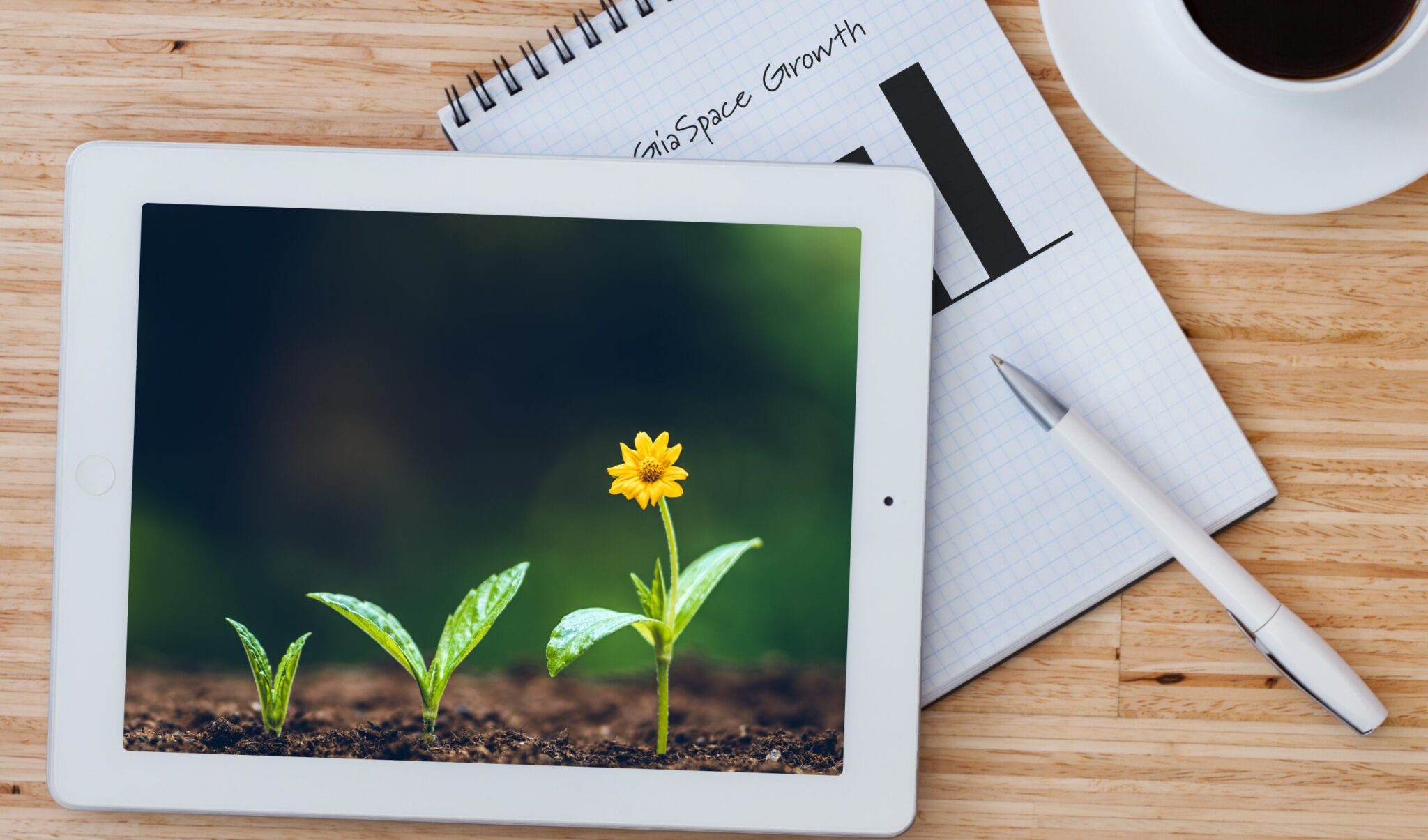 The IT Forecast: Preparing Your Business for a Season of Growth